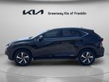 Used 2019 Lexus NX 300h AWD w/ Premium Package image 4