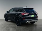 Used 2020 Ford Escape SE Sport image 5