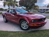 Used 2006 Ford Mustang Deluxe image 2