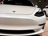 Used 2021 Tesla Model 3 Standard Range Plus image 5