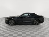 Certified 2022 Ford Mustang Premium image 2