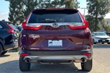 Used 2018 Honda CR-V Touring image 5