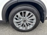 Certified 2024 INFINITI QX50 Pure image 6