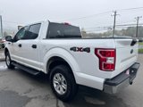 Used 2019 Ford F150 XLT w/ Equipment Group 301A Mid image 5