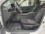 Used 2023 Nissan Sentra SR w/ Trunk Package image 2