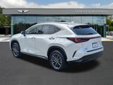 Used 2024 Lexus NX 250 FWD w/ Premium Package image 5