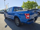 Used 2019 Ford F150 XLT w/ Equipment Group 302A Luxury image 5