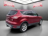 Used 2016 Ford Escape SE w/ SE Leather Comfort Package image 2