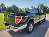Used 2013 Ford F150 XLT w/ XLT Chrome Pkg image 6