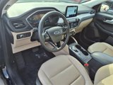 Certified 2022 Ford Escape SEL image 4