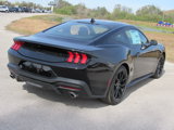 New 2025 Ford Mustang Premium w/ Mustang Nite Pony Package image 3