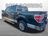 Used 2013 Ford F150 XLT w/ Luxury Equipment Group image 5