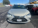 Used 2019 Lexus ES 350 image 4