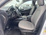 Used 2022 Ford Escape SE w/ Convenience Package image 2
