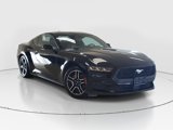Used 2024 Ford Mustang Premium image 2