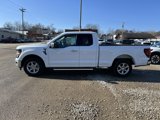 New 2025 Ford F150 XLT w/ Equipment Group 301A Standard image 5