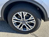 Certified 2022 Ford Escape SEL image 5