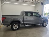 Used 2024 Ford F150 XLT w/ Equipment Group 302A MID image 6