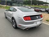 Used 2016 Ford Mustang Coupe w/ Equipment Group 051A image 3