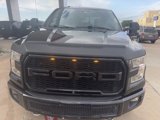 Used 2016 Ford F150 XLT w/ Equipment Group 302A Luxury image 2