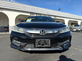 Used 2017 Honda Accord Sport image 2
