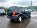 Used 2006 Ford Escape XLT image 5