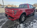 Used 2011 Ford F150 FX4 w/ FX Plus Pkg image 6