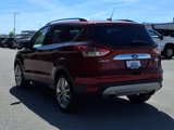 Used 2014 Ford Escape SE w/ SE Chrome Package image 4