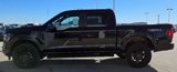 New 2025 Ford F150 STX w/ STX Black Appearance Package image 5