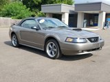 Used 2002 Ford Mustang GT image 2
