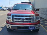 Used 2014 Ford F150 XLT w/ Equipment Group 302A Luxury image 3