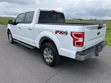 Used 2019 Ford F150 XLT w/ Equipment Group 302A Luxury image 5