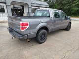 Used 2010 Ford F150 2WD SuperCrew image 4