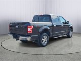 Used 2018 Ford F150 XLT w/ Equipment Group 302A Luxury image 3
