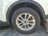 Used 2022 Ford Escape SE w/ Convenience Package image 4