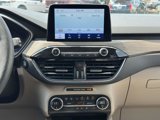 Used 2020 Ford Escape Titanium image 3