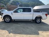 New 2024 Ford F150 XLT image 2