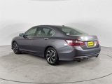 Used 2017 Honda Accord EX-L image 3