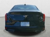 New 2025 Cadillac CT4 Premium Luxury image 6