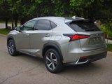Used 2019 Lexus NX 300h AWD w/ Premium Package image 3