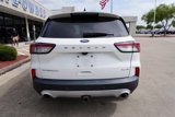 Used 2020 Ford Escape Titanium image 5