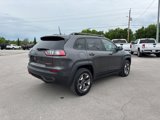 Used 2019 Jeep Cherokee Trailhawk w/ Cold Weather Group image 5
