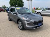 Certified 2022 Ford Escape SEL image 2