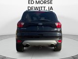 Used 2019 Ford Escape SEL image 4