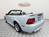 Used 2003 Ford Mustang GT Premium image 6