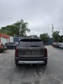 Used 2020 Kia Telluride EX w/ EX Premium Package image 5