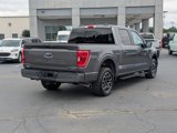 Certified 2023 Ford F150 XLT w/ Equipment Group 302A High image 3