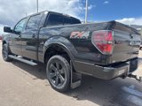Used 2014 Ford F150 FX4 image 3