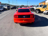 Used 2015 Ford Mustang Coupe w/ Equipment Group 051A image 4
