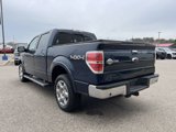 Used 2014 Ford F150 King Ranch w/ King Ranch Luxury Package image 5